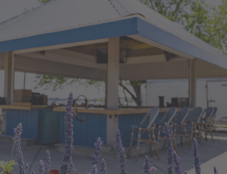 A blue and white gazebo with purple flowers