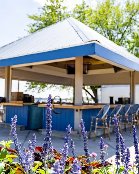 A blue and white gazebo with purple flowers