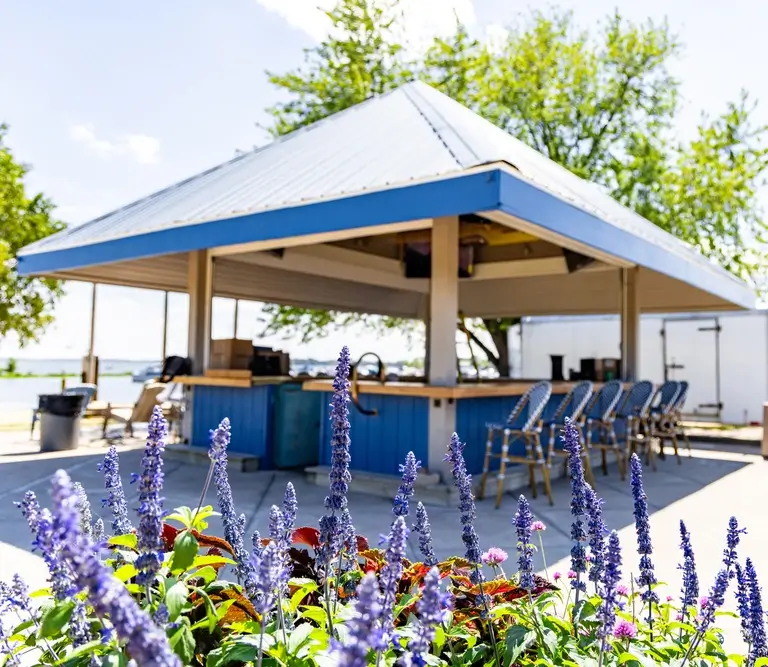 A blue and white gazebo with purple flowers